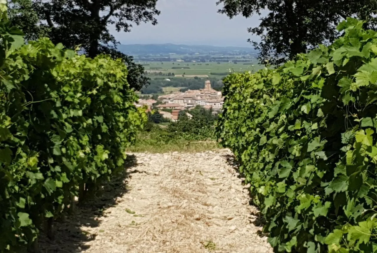 Maison d'hôtes Hôtel Château Cohola à Sablet